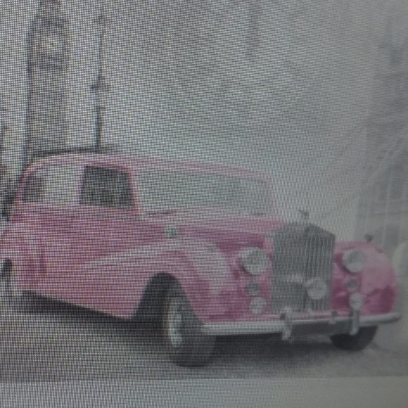 COPY - Meet your Posher, LaLa - Picture 5 of 5